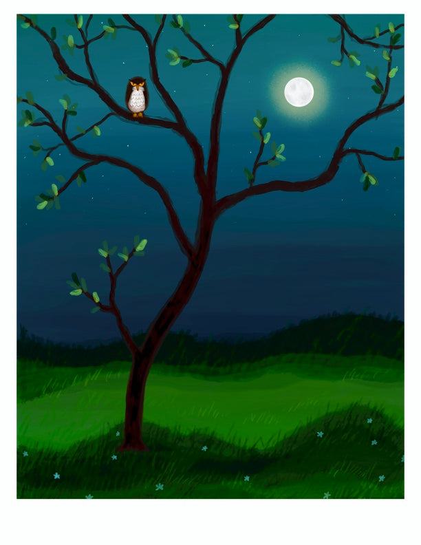 Full Moon Night art print