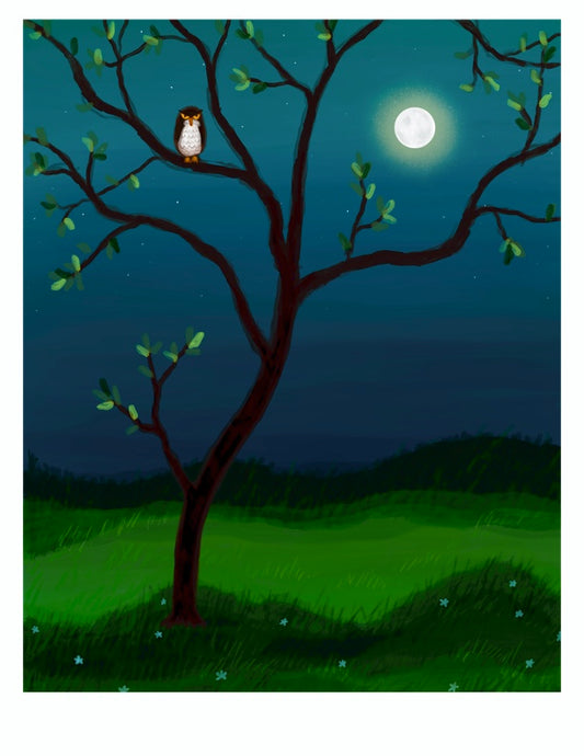 Full Moon Night art print